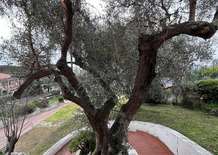 In Collina Vista Mare Casa vacanze